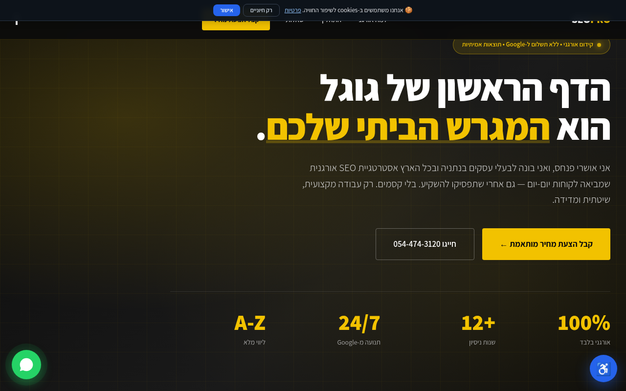 קידום אתרים אורגני מקצועי